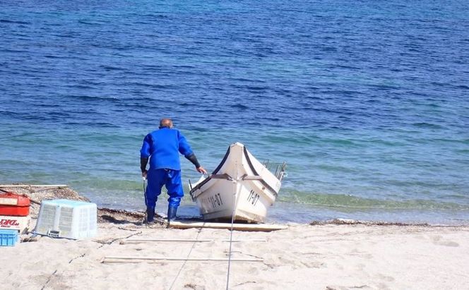 [北海道 礼文島産] 天然 寒岩のり 3枚 【 海苔 岩海苔 海藻手作り 磯の香り ご飯のお供 ラーメン 味噌汁 】