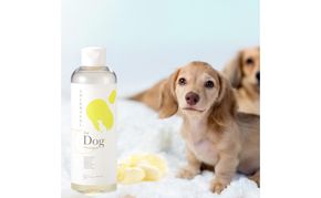 《絹生活研究所》COCONICAL for Dogシャンプー 犬 