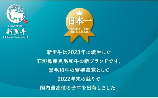 石垣島産 黒毛和牛 新里牛 多用途抜群！煮込み用贅沢角切り（500g×2） 合計1kg以上 カレー シチュー SZ-44