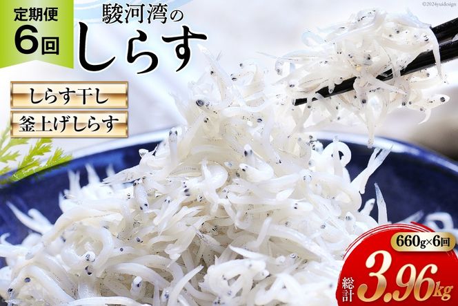 yÉgcz6  x͘pY 炷 100g×3 グ炷 120g×3 v6pbN [}Y É gc 22424643]  CN 炷 q VX V Ⴑ  Ⴑ 炷