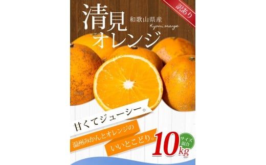 【訳あり】手選別 清見オレンジ 約10kg 和歌山県産 2S~2Lサイズ混合※2026年2月上旬～5月中旬頃に順次発送【mrmt025A】