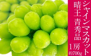 2026年予約受付中 シャインマスカット 晴王 7月～8月出荷 1房 約700g  人気 岡山県産 種無し 皮ごと食べる みずみずしい  フレッシュ 晴れの国 おかやま 果物大国 ハレノフルーツ
