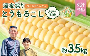 【先行予約 2026年6月中旬以降発送 】【 令和8年産 】 深夜採り 朝出荷 とうもろこし （ ゴールドラッシュ ） 約 3.5kg トウモロコシ 深夜採り 甘い 新鮮 スイートコーン コーン 野菜 極甘 岩田さん 2026 [AX058ya]