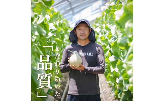 【定期便6ヶ月】『組合直送』アローマメロン1.3kg 222232_DF003