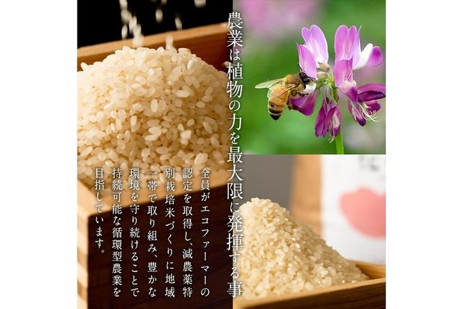 ＜先行予約受付中！2026年11月より発送開始予定＞【令和8年産】減農薬特別栽培米 はなご縁 (計5kg) 米 ひのひかり ヒノヒカリ 精米 白米 大分県産 数量限定 大分県 佐伯市【HD129】【さいき本舗 城下堂】