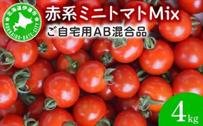 ＜先行予約＞赤系ミニトマトMix(たっぷり4kg)｜北海道 伊達市 野菜 新鮮 ふるさと納税 送料無料【ffk-005】