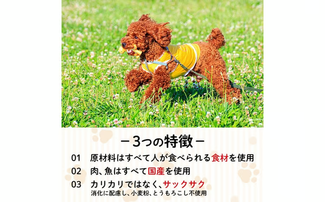 小型犬用ドライフード (計800g・400g×2袋) ドッグフード ペットフード 犬 総合栄養食 【EC15】【天然素材】