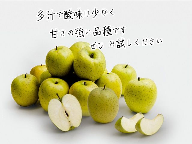 りんご 青森 王林 リンゴ 約 5kg (12～18玉) 青森県 鰺ヶ沢町産 西樹園 フルーツ 果物 果物類 白神山地 林檎