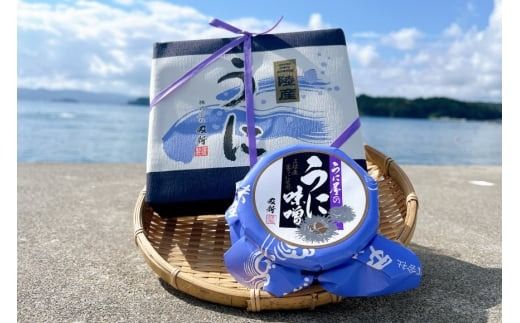 うに うに屋の汐うに & うに味噌 2種 セット [及新 宮城県 南三陸町 m304amh740007] ウニ 雲丹 汐うに うに味噌 濃厚 食べ比べ 詰め合わせ