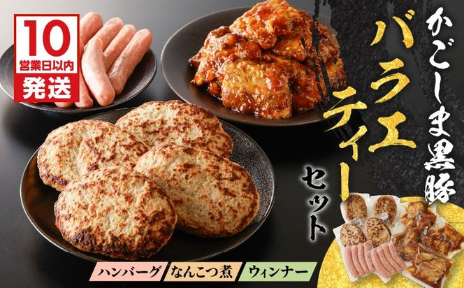 【10営業日以内に発送】鹿児島黒豚 バラエティーセット　K091-008