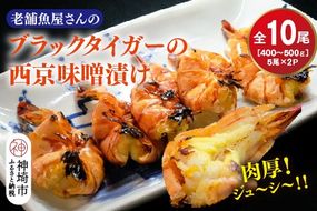 ブラックタイガーの西京味噌漬け 5尾×2パック【海老 味噌漬け 焼くだけ 簡単調理 エビ料理 おつまみ おかず バーベキュー お弁当】(H032140)