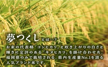 【月2回お届け】【全24回定期便】糸島産 夢つくし 5kg 12ヶ月コース 糸島市 / 三島商店 [AIM028] 米 白米