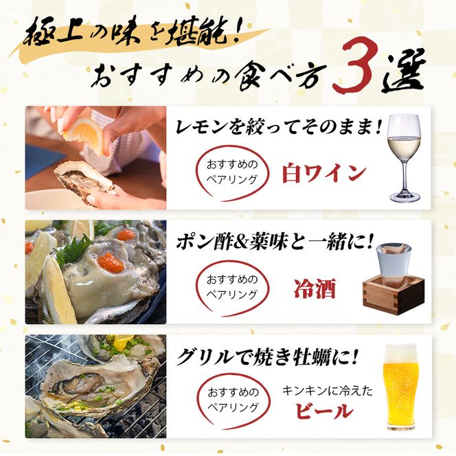 生食用 殻付き 象潟産 天然 岩牡蠣 10個 約3kg 相当 約300～400g/個 直径10cm 岩ガキ 冷蔵 濃厚 プリプリ 新鮮 殻剥きナイフなし 贈り物 ギフト お取り寄せ 国産 日本海 産地直送 秋田県 にかほ市マルイチ水産 送料無料