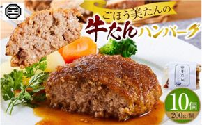 ぶつぎりたんちゃん特製 ごほう美たんの牛たんハンバーグ 372013_HX001