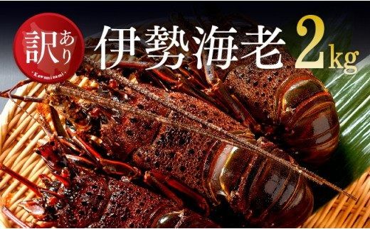 y{茧쒬zy󂠂zⓀɐCV2kgi3`10j y ɐCV CZGr 󂠂  z [C01707]