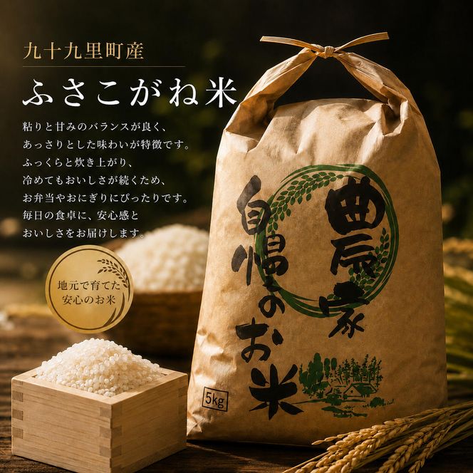 【新米】米 ふさこがね 5kg まなびファーム 令和8年産  白米 精米 ブランド米 産地直送 新米 九十九里町