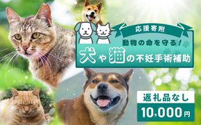 ON0027 【返礼品なし】動物の命を守る！犬や猫の不妊手術補助 応援寄附（大阪府泉佐野市）　