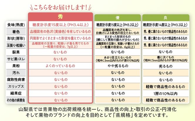 【来年（2026年/令和8年）発送＜先行予約＞】定期便 シャインマスカット 2房 約1.3㎏×3回 先行予約 先行 予約 山梨県産 国産 産地直送 人気 おすすめ 贈答 ギフト お取り寄せ フルーツ 果物 くだもの ぶどう ブドウ 葡萄 シャイン シャインマスカット 新鮮 甘い 皮ごと 山梨 甲斐市 AD-248