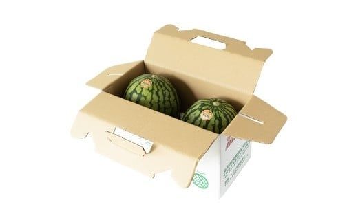 【 訳あり 】 こだますいか 「 愛娘 」 2玉 2026年産 先行予約 筑西ブランド こだまスイカ 小玉スイカ すいか スイカ フルーツ 果物 [AF084ci]