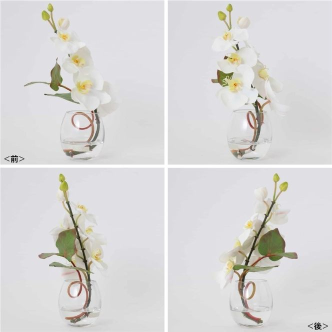 アートフラワー エミリオ・ロバ ファレノプシスS-a TTNTS52100