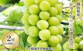 ぶどう 2026年 先行予約 シャイン マスカット 晴王 2房入り（1房 480g以上 ハウス栽培） ブドウ 葡萄  岡山県産 国産 フルーツ 果物 ギフト 岡山の葡萄