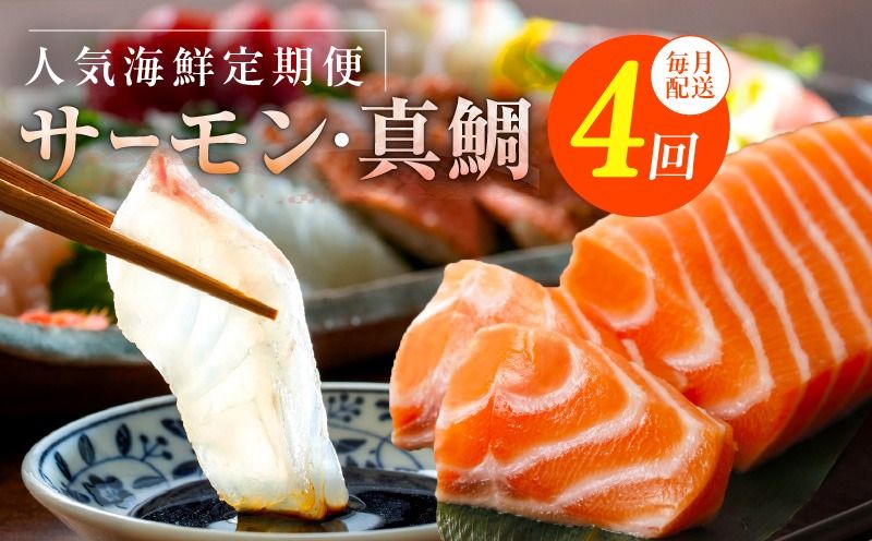 nbj0005 人気海鮮定期便 サーモン/真鯛 食べ比べ 全4回[毎月配送コース 小分け 訳あり サイズ不揃い 刺身 海鮮丼 人気 オススメ 冷凍]]