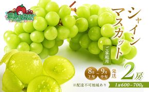 ぶどう 2026年 先行予約 ご家庭用 シャイン マスカット 2房 1房600g～700g 8月下旬～9月中旬発送分 ブドウ 葡萄 フルーツ 果物 岡山 赤磐市産 農マル園芸 あかいわ農園 