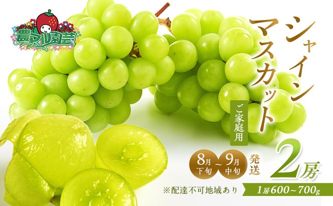 ぶどう 2026年 先行予約 ご家庭用 シャイン マスカット 2房 1房600g～700g 8月下旬～9月中旬発送分 ブドウ 葡萄 フルーツ 果物 岡山 赤磐市産 農マル園芸 あかいわ農園 