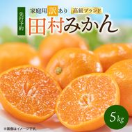 G7342_【2026年11月下旬頃より発送】高級ブランド 田村みかん 5kg【家庭用 訳あり】