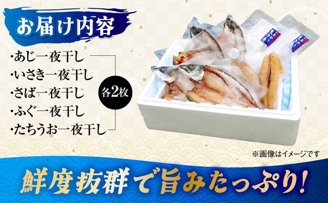 【一本釣り 匠の漁】佐田岬 玉手箱セット 5種×各2枚（計10枚） IKTJ006