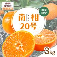 【先行受付】【数量限定】南柑20号（生果）3kg（2026年12月上旬頃より順次発送）IKTQ016