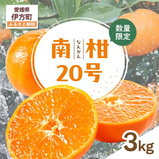 【先行受付】【数量限定】南柑20号（生果）3kg（2026年12月上旬頃より順次発送）IKTQ016