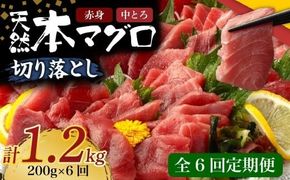 【 6回定期便 】 天然本マグロ 中トロ 赤身 切り落とし 200g 小分け(100g×2パック) 訳あり マグロ 刺身 カルパッチョ まぐろ丼 まぐろ漬け丼 魚 惣菜 海鮮丼 魚介類 食べきりサイズ 父の日 冷凍 不揃い クロマグロ 黒マグロ