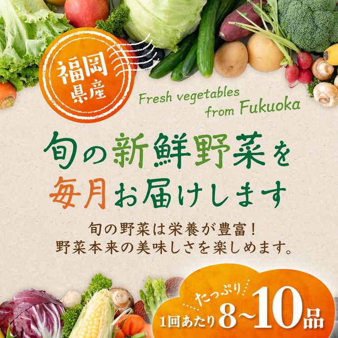 【定期便／年12回／毎月お届け】【道の駅むなかた】 旬のお野菜詰合せセット_HB0124