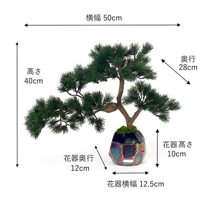 BONSAI  2L26-a TUTGA-80300