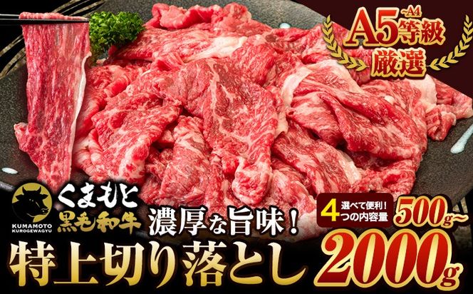くまもと黒毛和牛 特上切り落とし ウデ・モモ 切り落とし 500g 1000g 1500g 2000g 牛肉 冷凍 《30日以内に出荷予定(土日祝除く)》冷凍庫 個別 取分け 小分け 個包装 モモ スライス 肉 お肉 しゃぶしゃぶ すき焼き A5 A4---mna_fkkrgmuar_30d_r7_10000_500g---