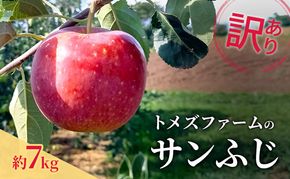 サンふじ（訳あり） 約7kg　トメズファーム　りんご　長野　信州　小諸　果物　フルーツ