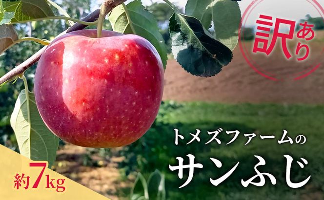 サンふじ（訳あり） 約7kg　トメズファーム　りんご　長野　信州　小諸　果物　フルーツ
