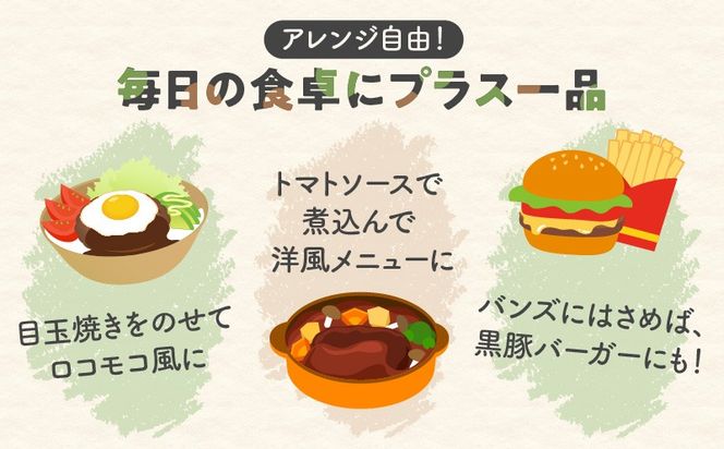 鹿児島県産黒豚ミニハンバーグ 12パック　K356-004