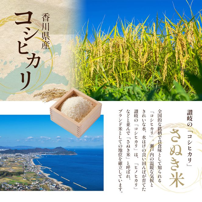 令和8年産　新米「コシヒカリ」10kg（玄米）  お米 10kg 