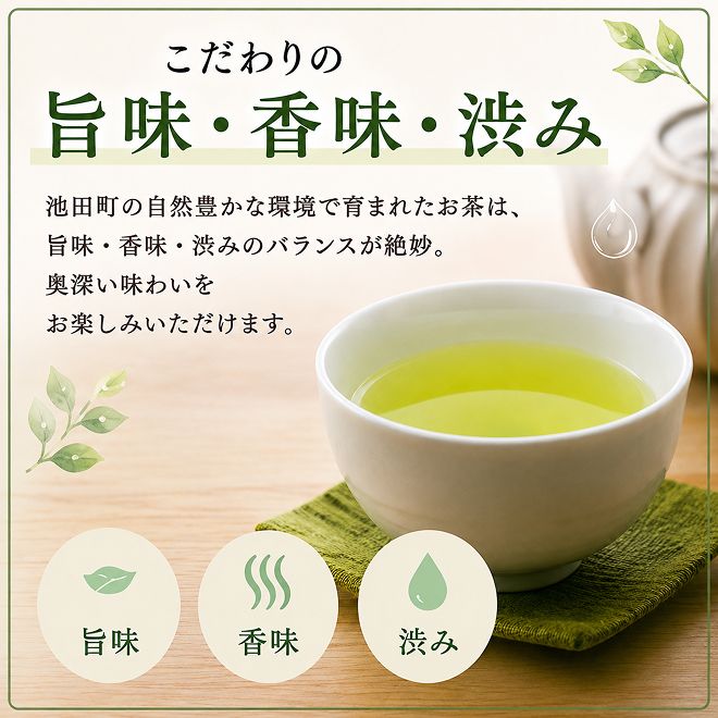 特選煎茶3本セット お茶 緑茶 