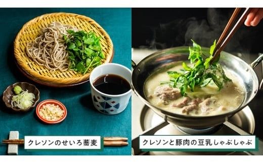 みくにクレソン100g×15袋 美容 健康 野菜 スーパーフード クレソン [CY004ci]