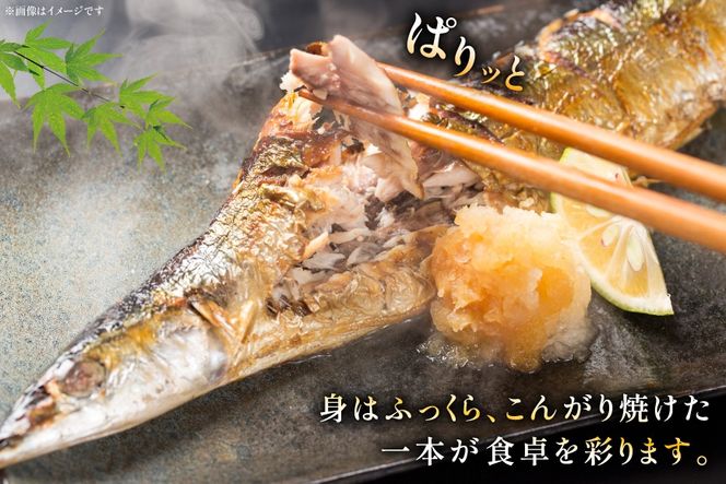 【期間限定発送】 生 さんま 10尾 [阿部長商店 宮城県 気仙沼市 20565760] 魚 サンマ 秋刀魚 生鮮 鮮魚 季節限定