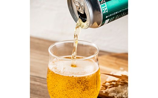沼田町クラフトビール ライスエール 12缶 地ビール ビール 酒 アルコール アルコール飲料 沼田町 北海道 n-0263