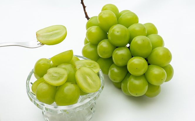 ぶどう 2026年 先行予約 シャイン マスカット 晴王 1房（1房670g以上）化粧箱入り マスカット ブドウ 葡萄  岡山県産 国産 フルーツ 果物 ギフト 果物類 大粒 