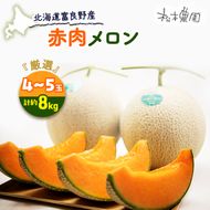 【2026年6月下旬より発送】北海道 富良野 赤肉 メロン『厳選』 4～5玉 約計8kg (松本農園) メロン フルーツ 果物 新鮮 甘い 贈り物 ギフト 道産 ジューシー おやつ ふらの ブランド 夏 