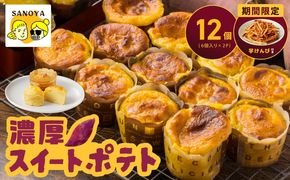 010B1760 【圧倒的企業努力】芋匠さのや特製 濃厚スイートポテト+芋けんぴ 付き