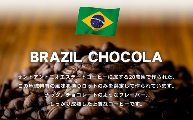 自家焙煎珈琲豆専門店のおうちコーヒー（ブラジルショコラ） 300g コーヒー豆 コーヒー粉 
