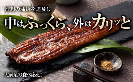 うなぎ蒲焼き2尾入り 430g～480g（蒲焼たれ4袋 山椒付き）［KS5］ 303446_BA1014