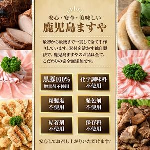 【0095119a】鹿児島黒豚生餃子セット(12個入×2パック・計24個)黒豚 豚肉 ぶた肉 餃子 ギョウザ ぎょうざ 惣菜【鹿児島ますや】